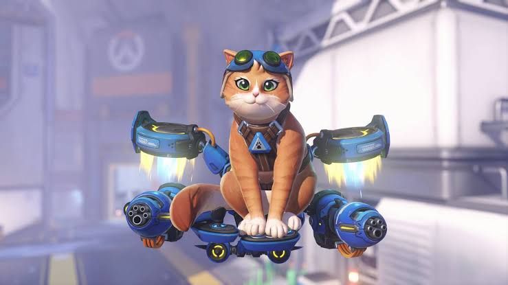 Jetpack Cat Overwatch Hero