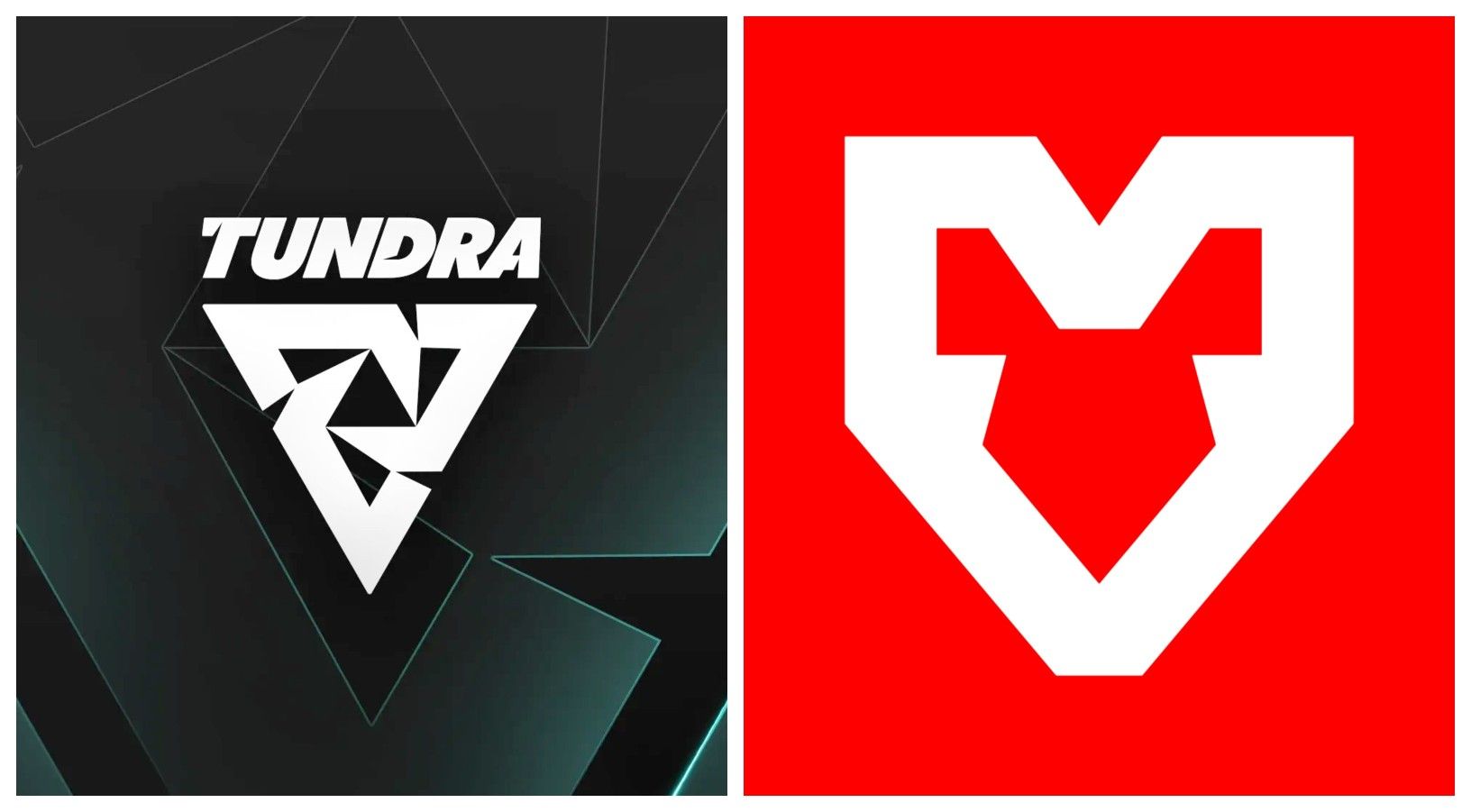 Tundra versus MOUZ is the highlight of the first day in DreamLeague Season 28.